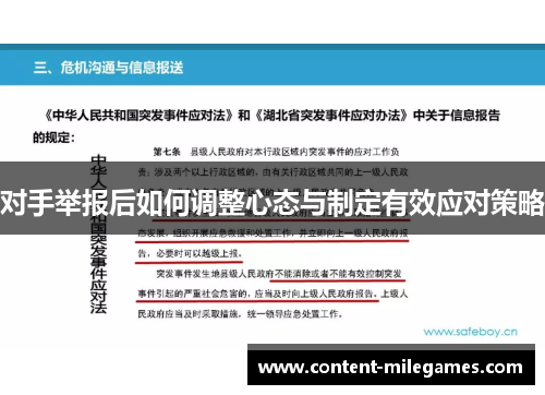 对手举报后如何调整心态与制定有效应对策略