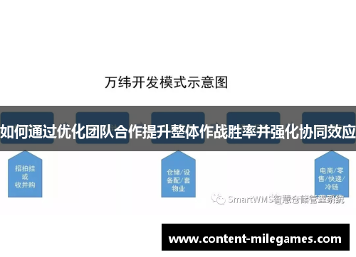 如何通过优化团队合作提升整体作战胜率并强化协同效应