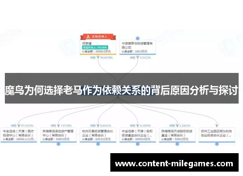 魔鸟为何选择老马作为依赖关系的背后原因分析与探讨